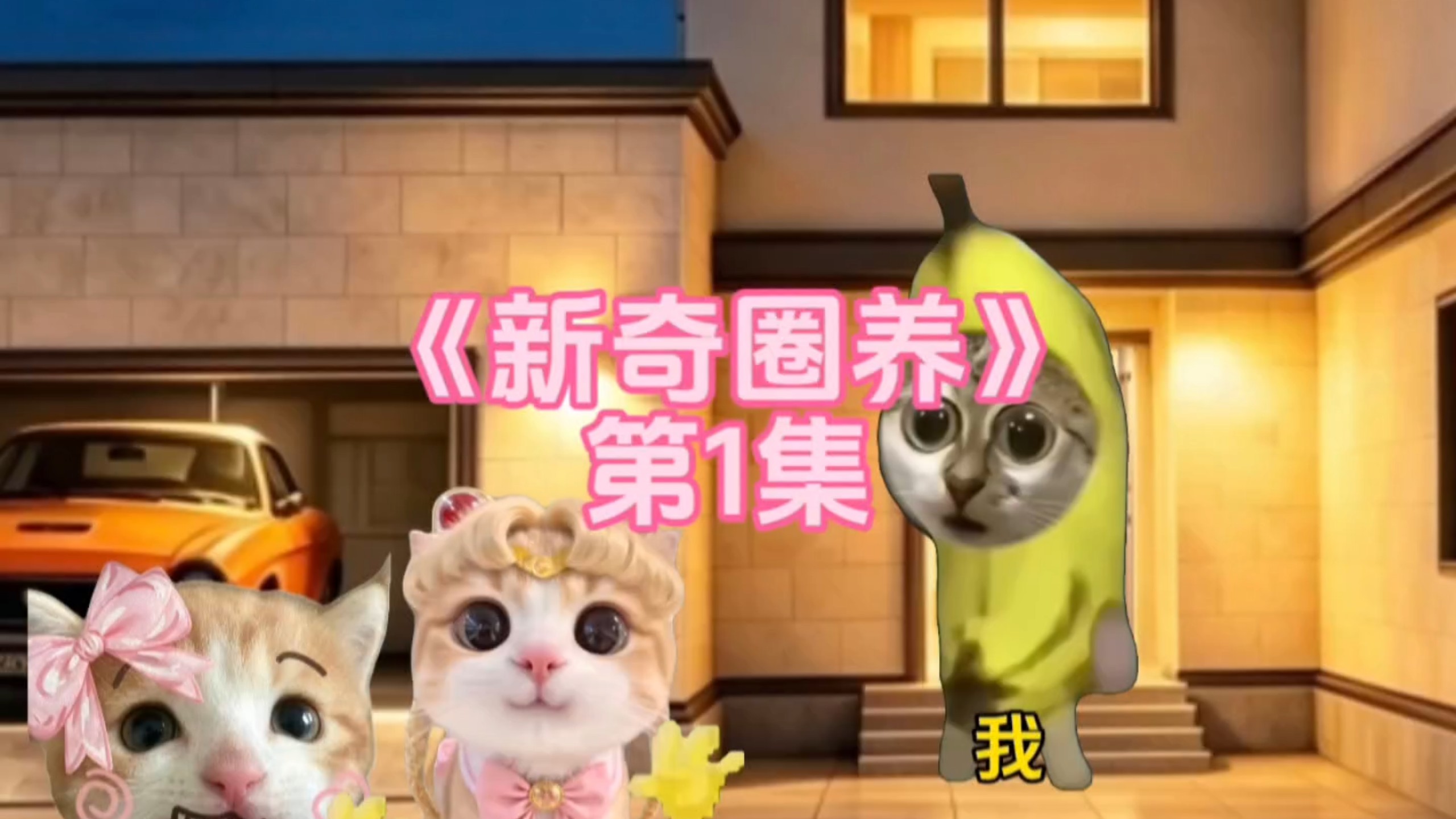 《新奇圈养》第1集 我收养了一堆双胞胎