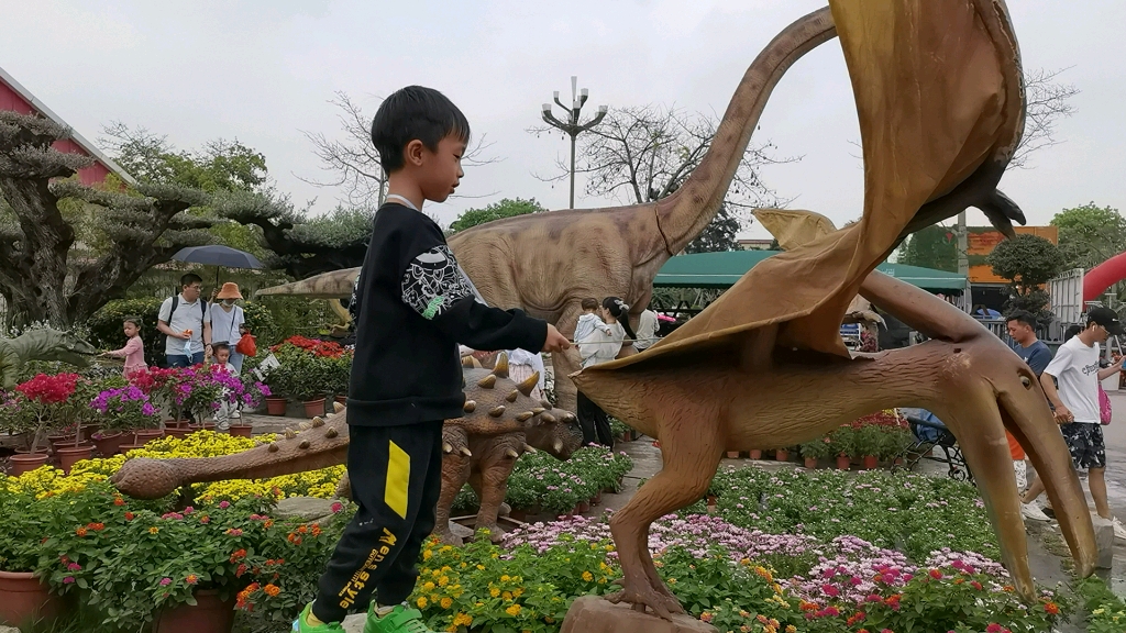 原来恐龙也怕挠痒痒?