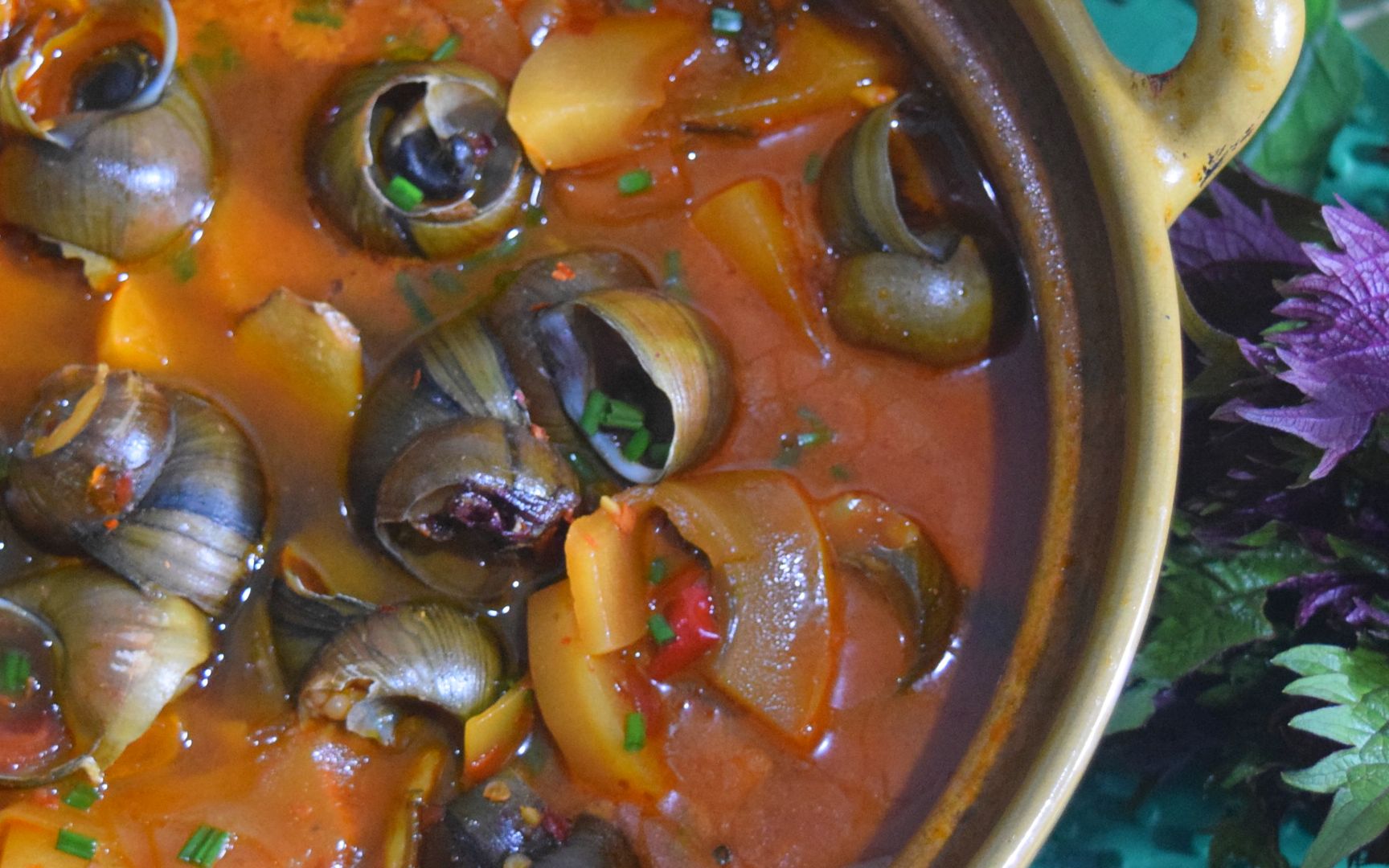 酸笋田螺煲好吃有秘诀,加上一抓这个叶子味道提升10倍,超好吃