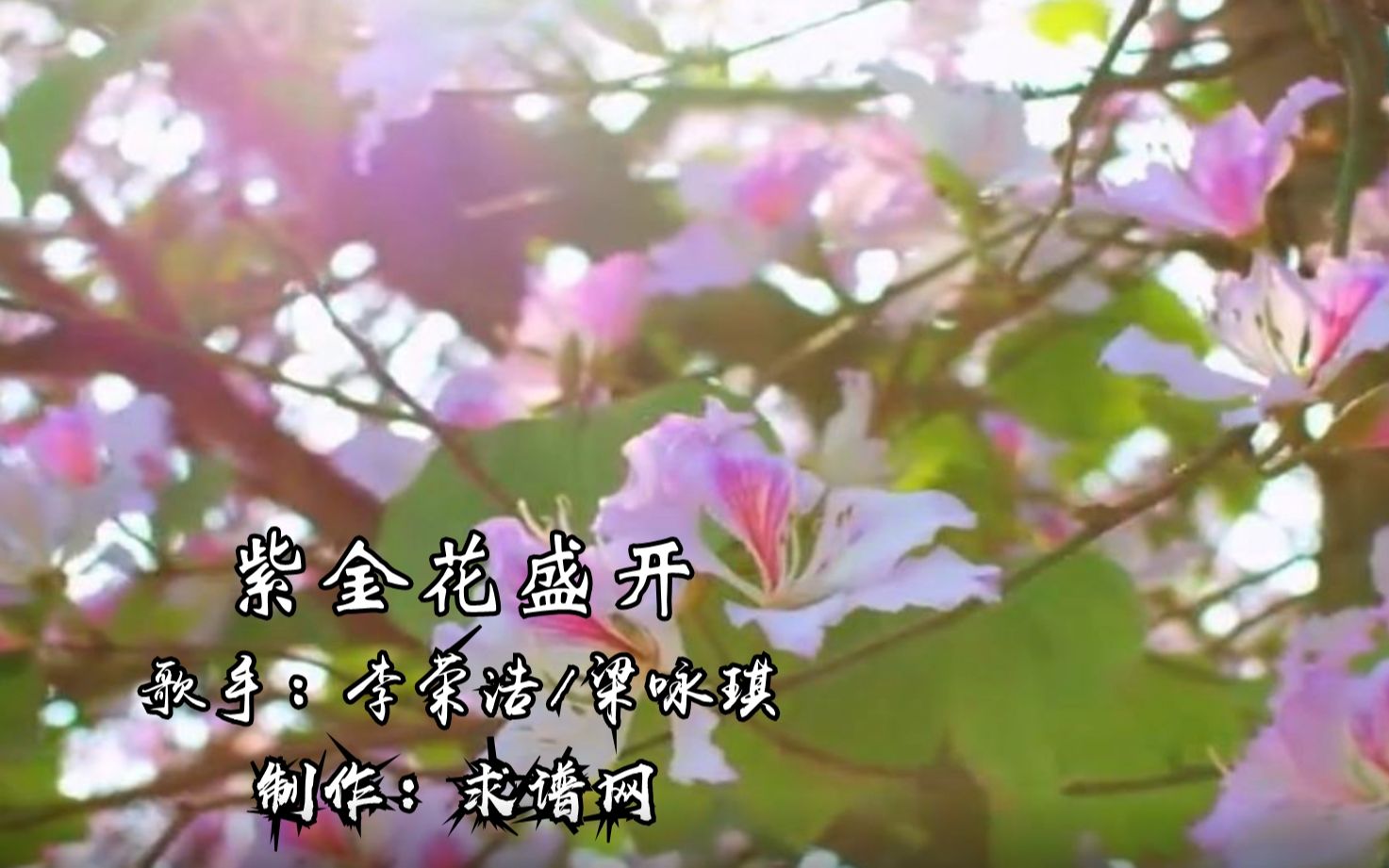 李荣浩/梁咏琪《紫金花盛开》钢琴版哔哩哔哩bilibili