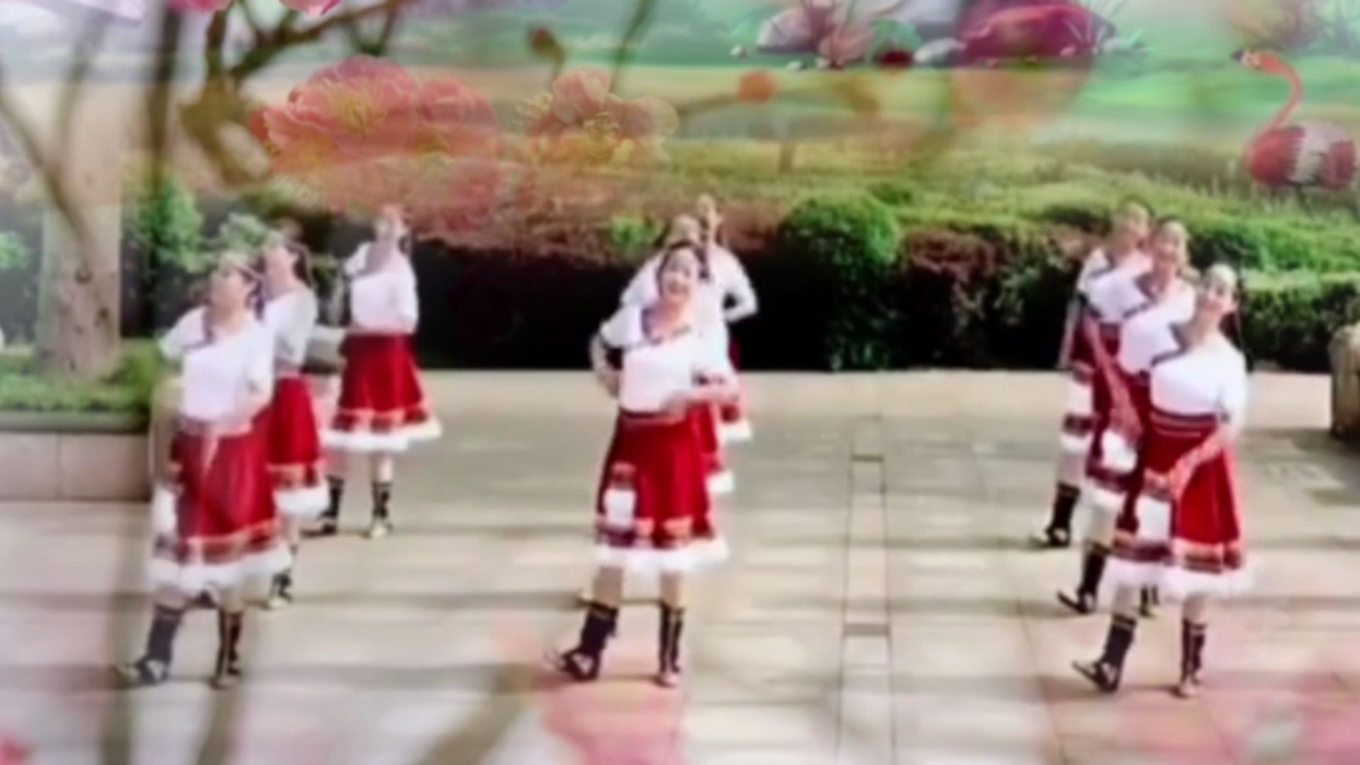 碧桂园舞蹈之广场舞《洗衣歌》