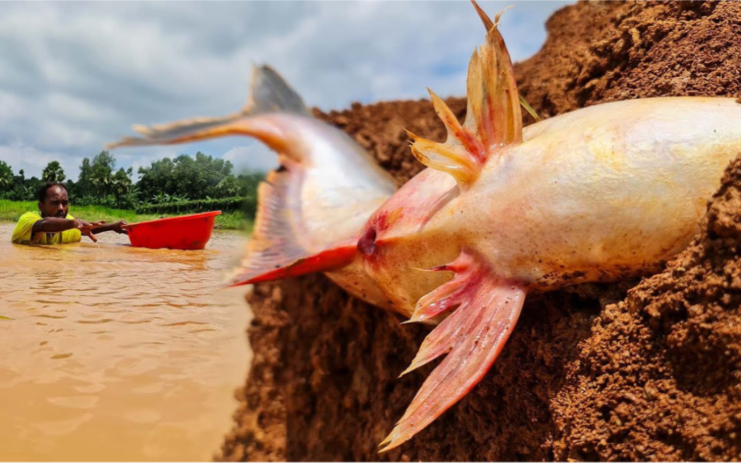 户外捕鱼#捕鱼#出海捕鱼#户外撒网捕鱼#撒网捕鱼