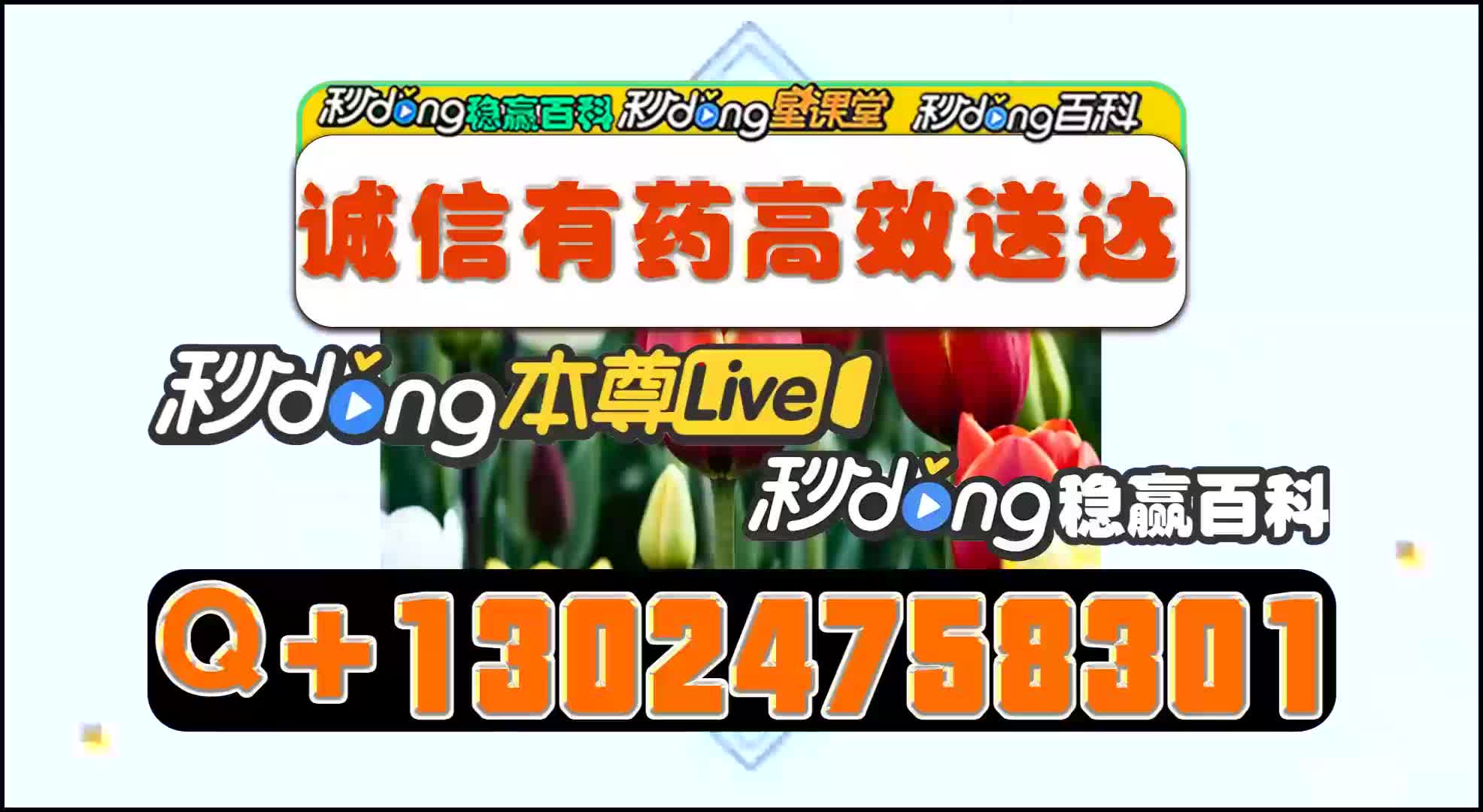 酒店摄像头id
