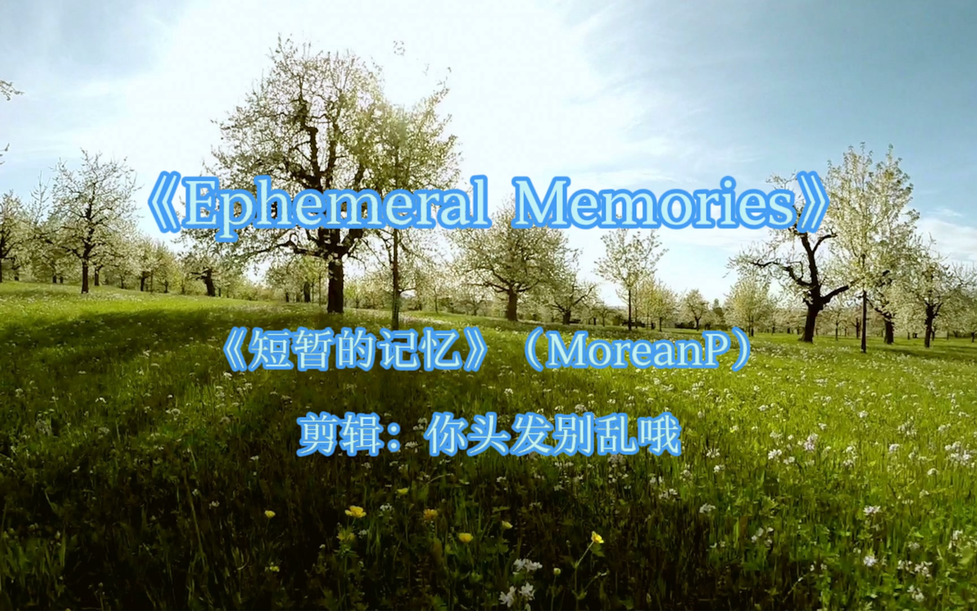 [图]《Ephemeral Memories（短暂的记忆）》（MoreanP)—白茶清欢无别事，我在等风也在等你