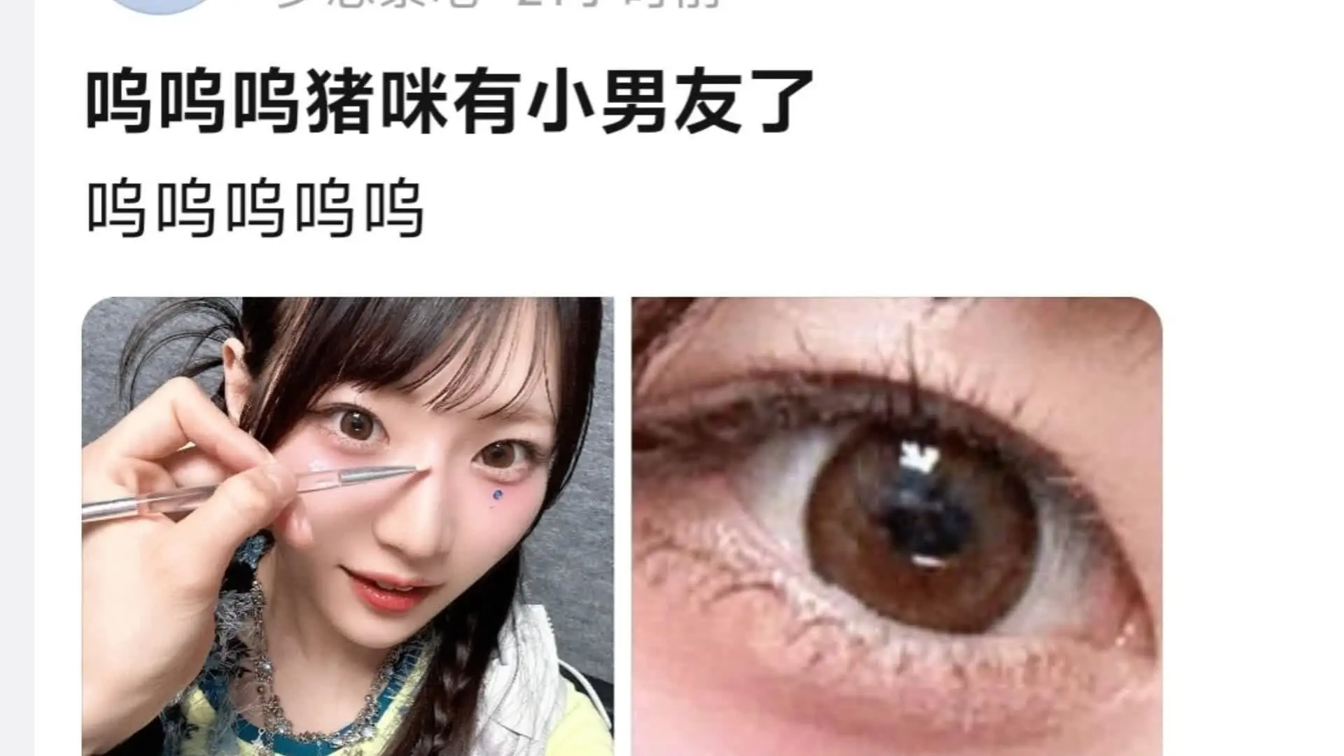 猪咪好像有小男友了_哔哩哔哩_bilibili