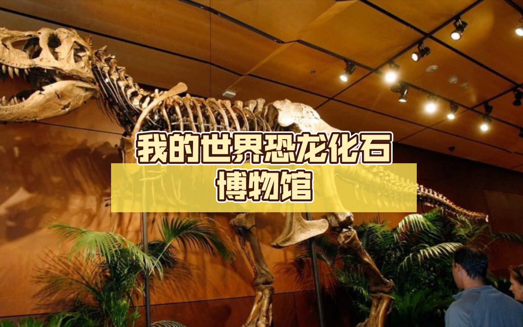 我的世界恐龙化石博物馆