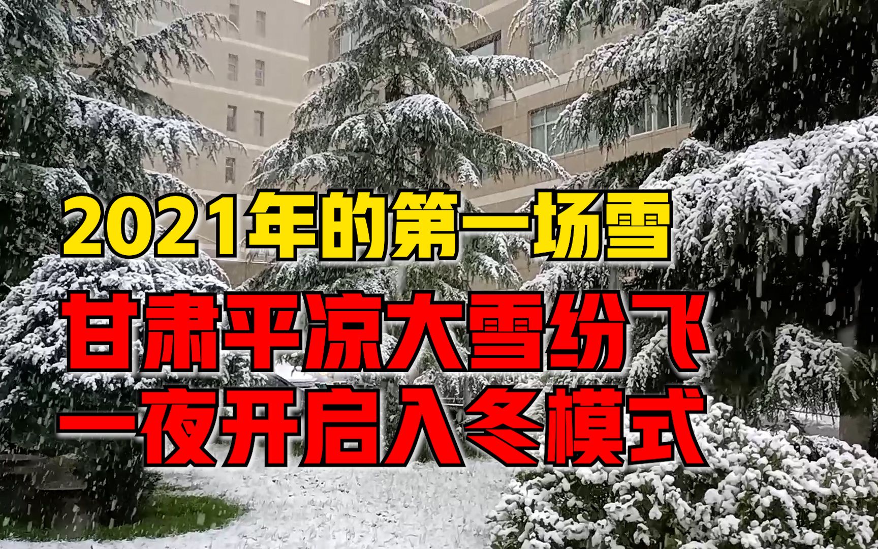 甘肃平凉一夜入冬大雪纷飞,绿植被大雪覆盖白茫茫一片哔哩哔哩bilibili