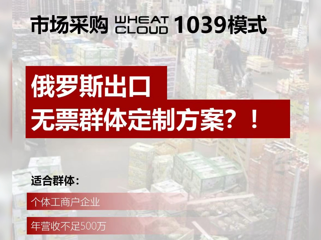 代收俄罗斯货款.搭建支付宝微信端租赁小程序.#小麦U租哔哩哔哩bilibili