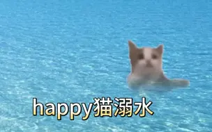 happy猫溺水