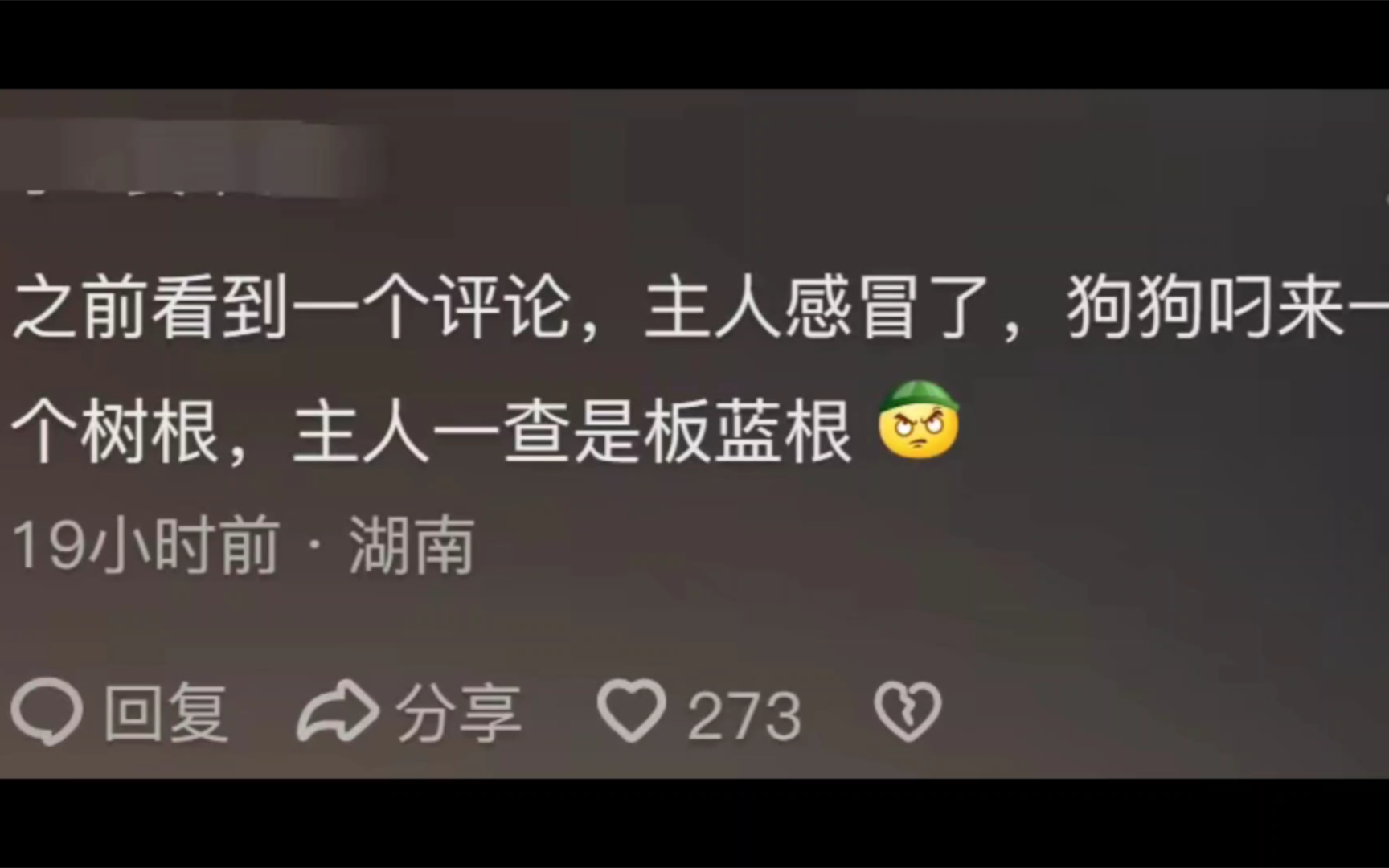 原来狗子都自带中医系统啊!网友分享看傻眼,狗主人骚操作真逆天哔哩哔哩bilibili