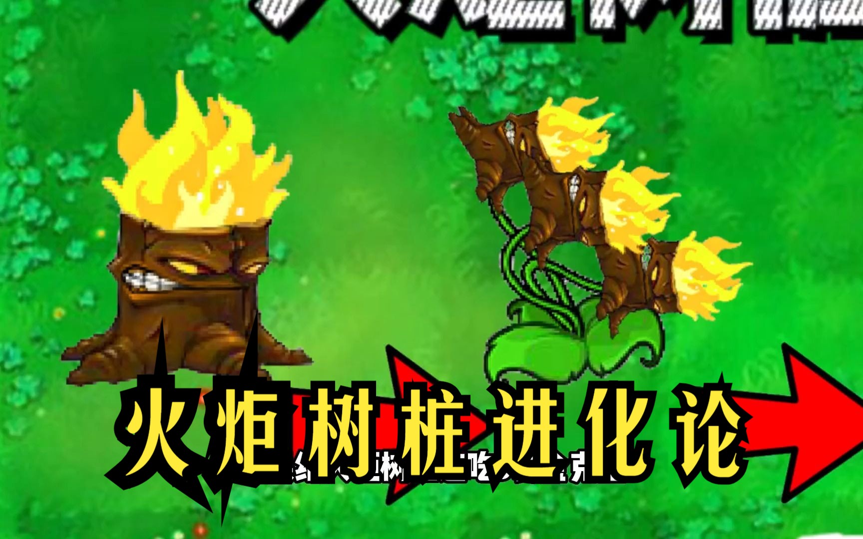 植物大战僵尸:火炬树桩进化论!吃金坷垃升级进化,火力压制!