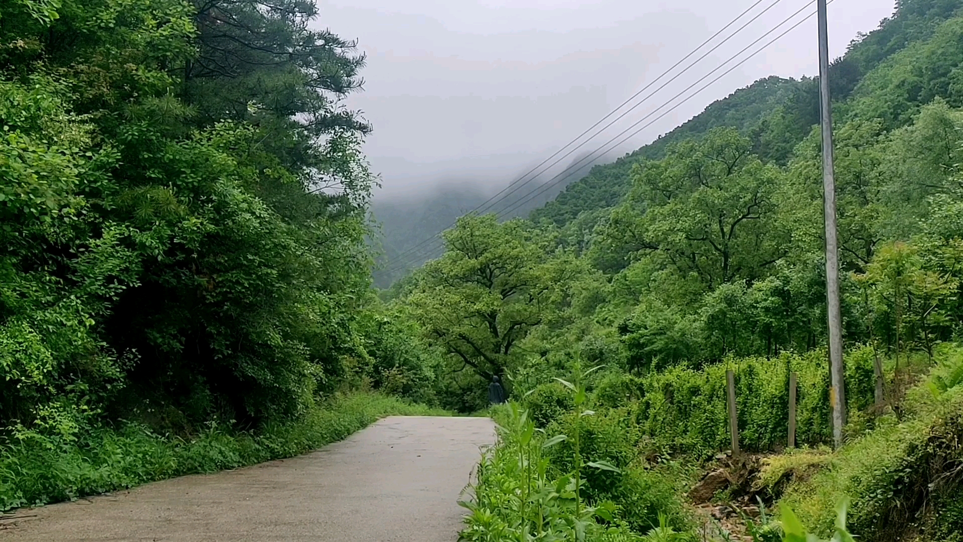 隱居終南山的人如何生活?他們如何面對孤獨寂寞?一個人住山不害怕嗎?