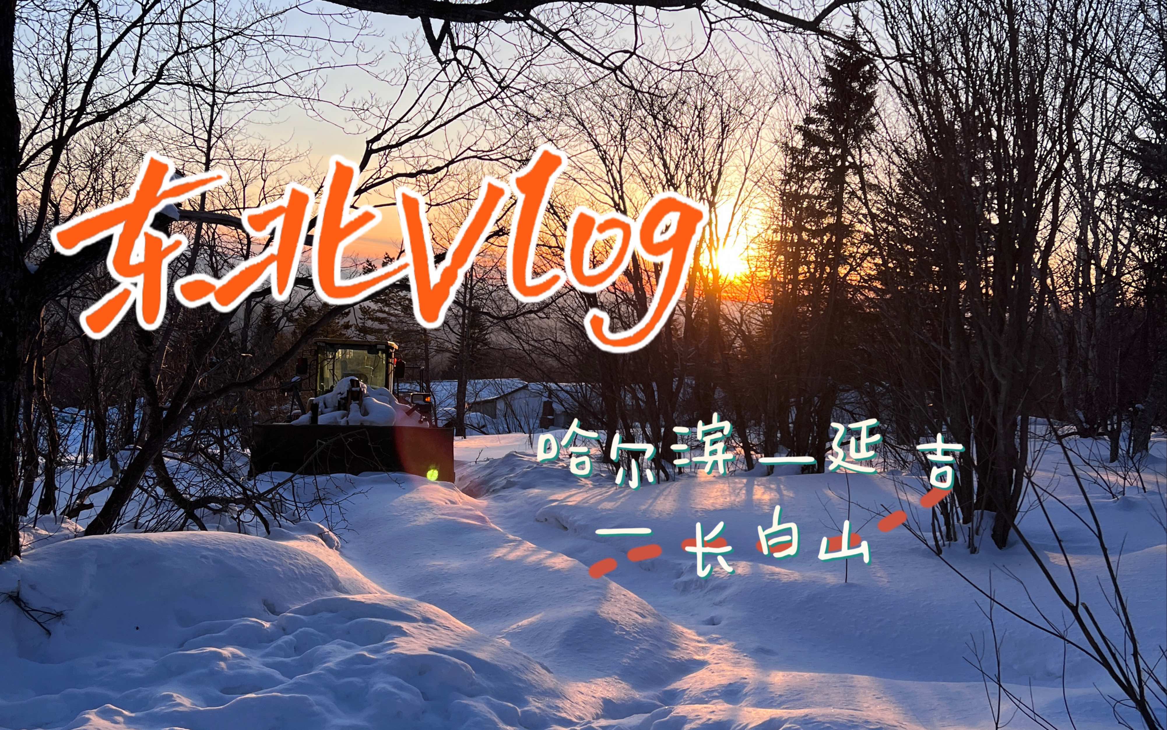 东北三城旅游vlog|哈尔滨—延吉—长白山|总要在冬天去一次东北吧!哔哩哔哩bilibili