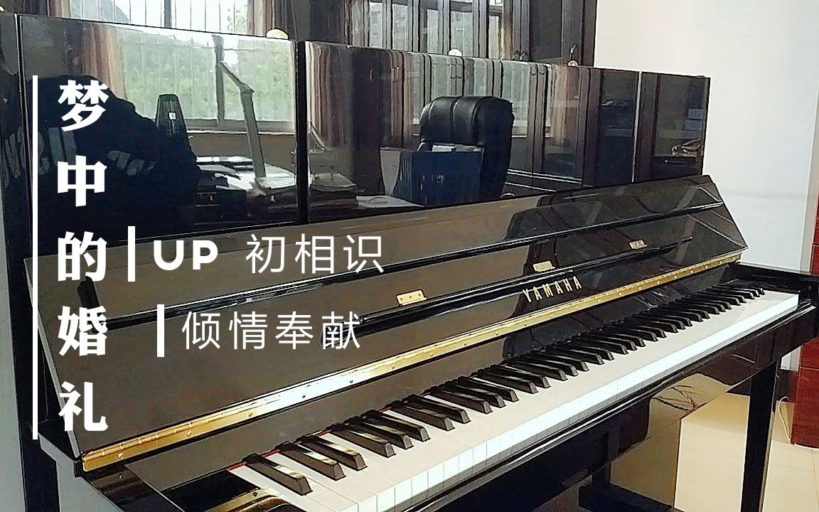 [图]《梦中的婚礼》up深情演奏版~