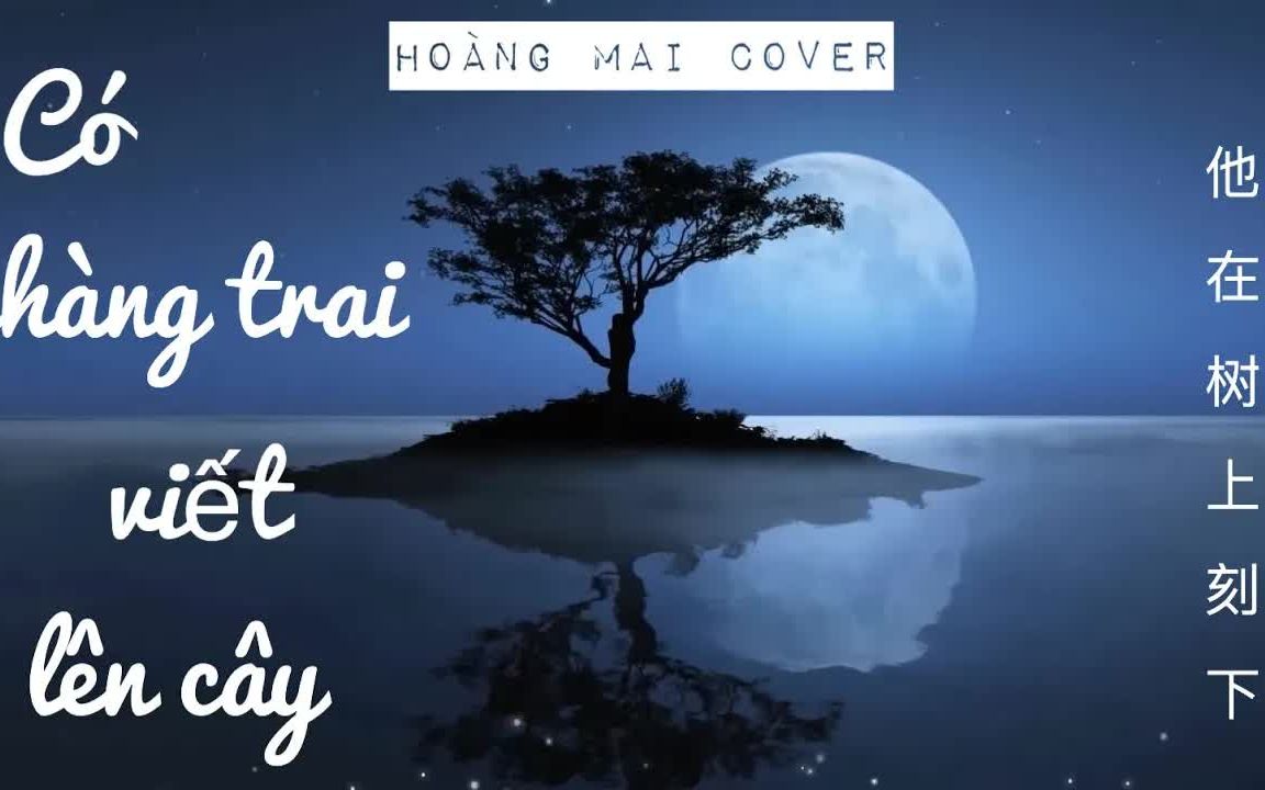 [图]【越南歌曲】【中文翻唱】Có chàng trai viết lên cây Chinese cover - Hoàng Mai | 他在树上刻下