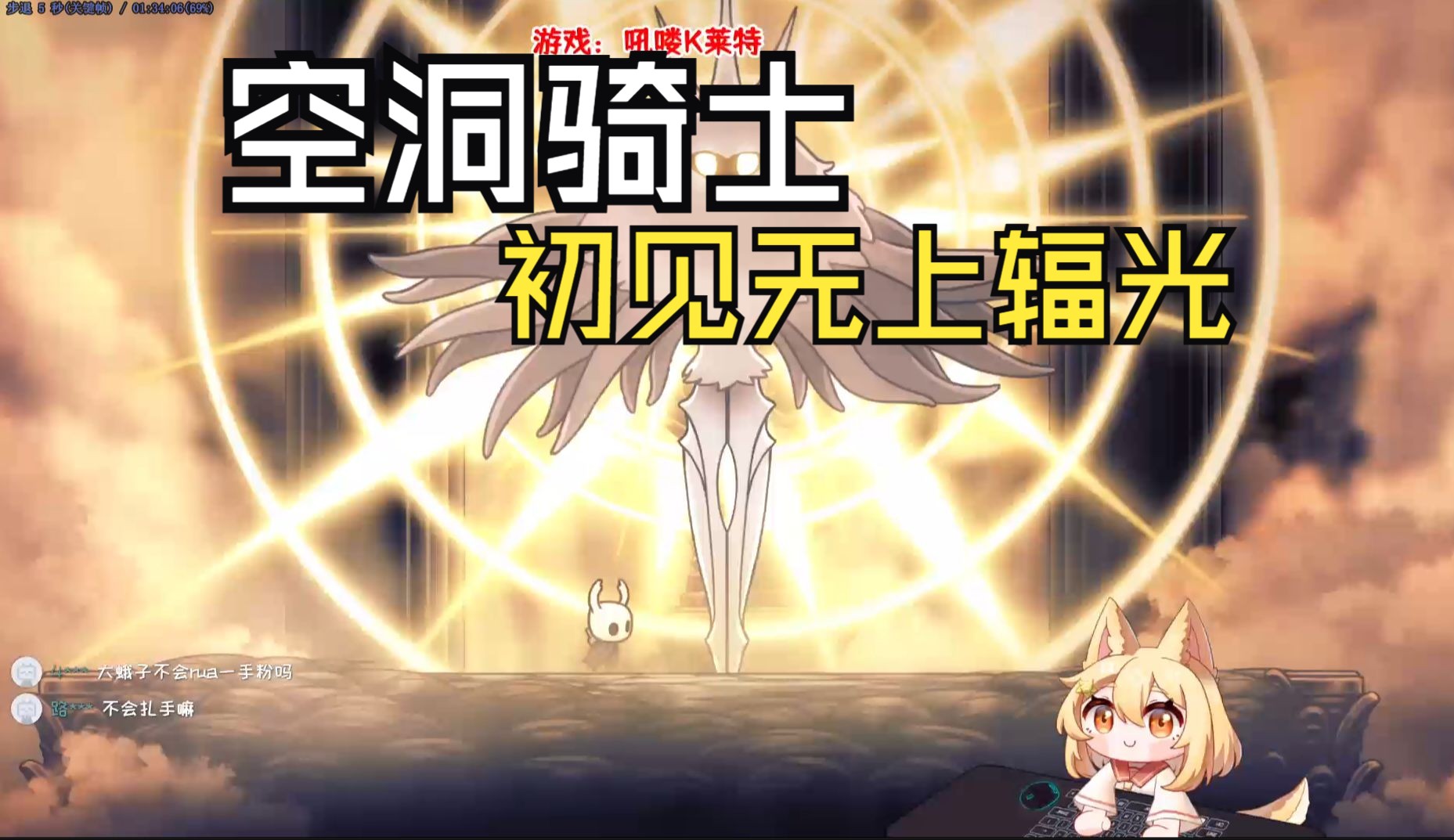 【空洞骑士】千辛万苦终于见到无上辐光! 第38期