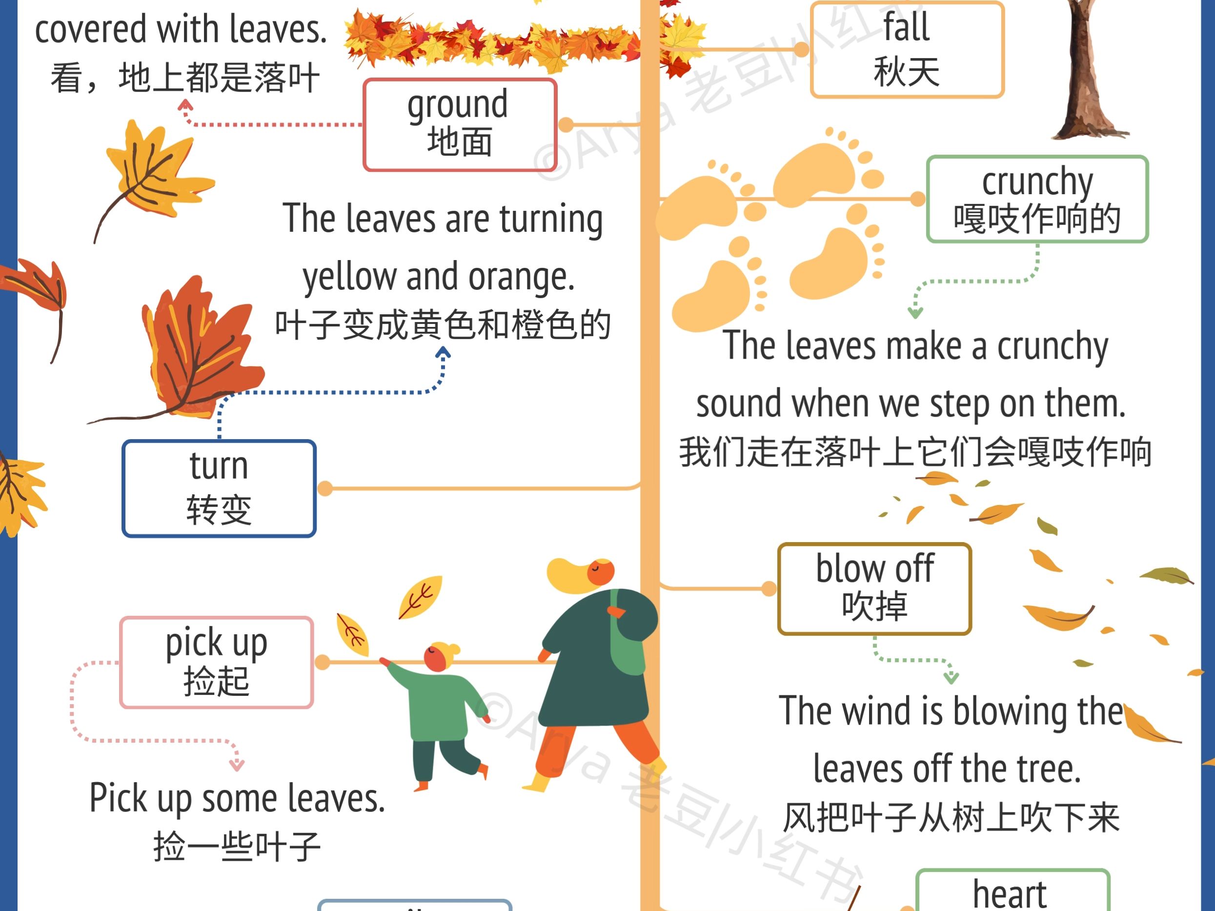 来用英语欣赏深秋的落叶哔哩哔哩bilibili