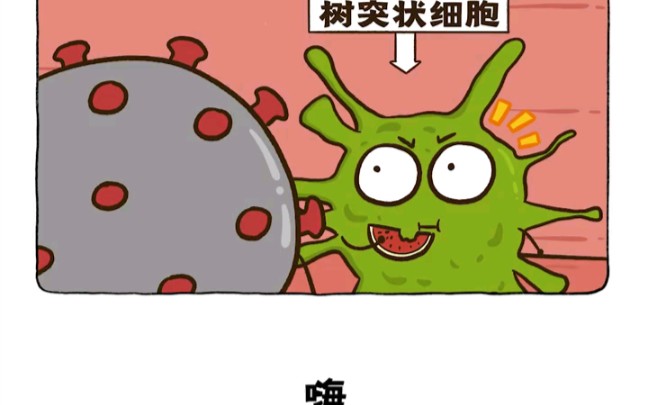 萌版抗体的生成与t细胞的实弹演戏,有被萌到了