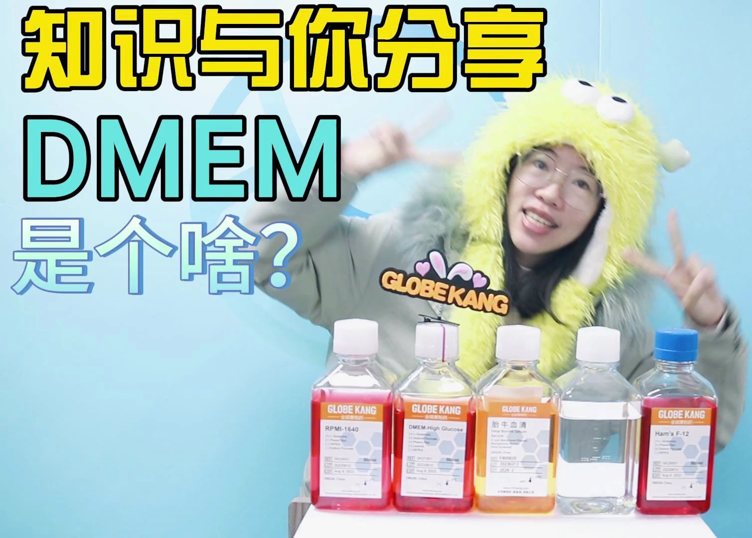 DMEM 是个嘛哔哩哔哩bilibili