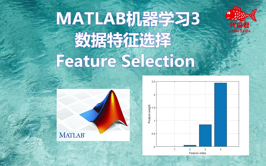 MATLAB机器学习3 特征选择 Feature Seleciton数据降维哔哩哔哩bilibili