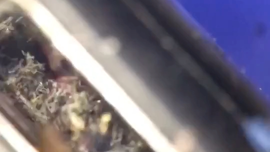 很多人充电口接触不良,都以为数据线坏了。动手清理杂质可用,可以get起来试试!!