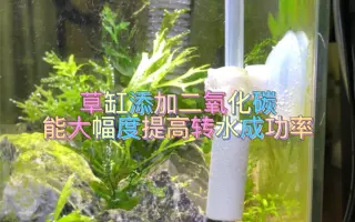水草转水 哔哩哔哩 Bilibili