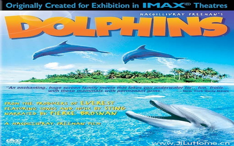 IMAX纪录片《海豚 Dolphins》全1集 英语中字哔哩哔哩bilibili