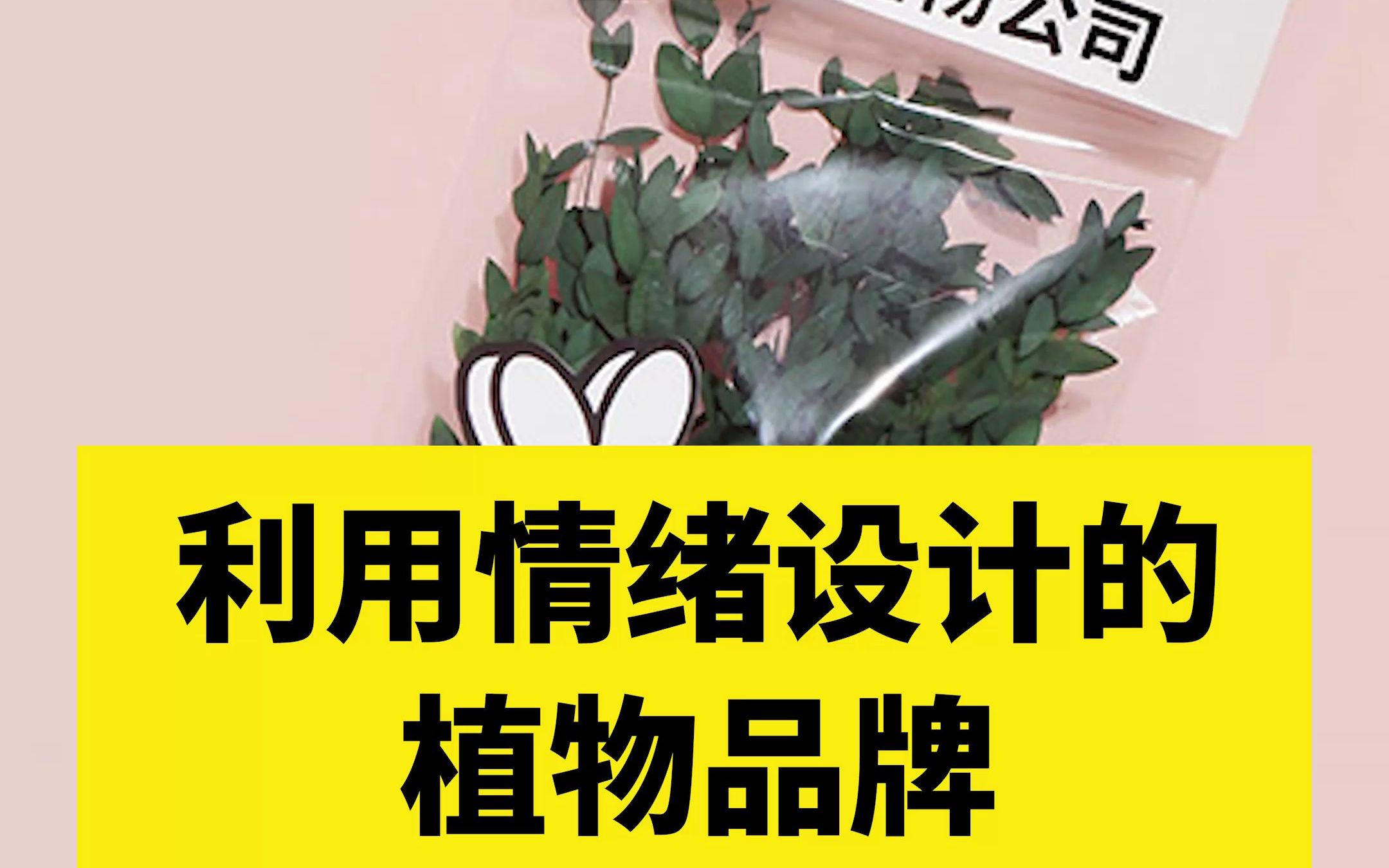 植物品牌设计哔哩哔哩bilibili