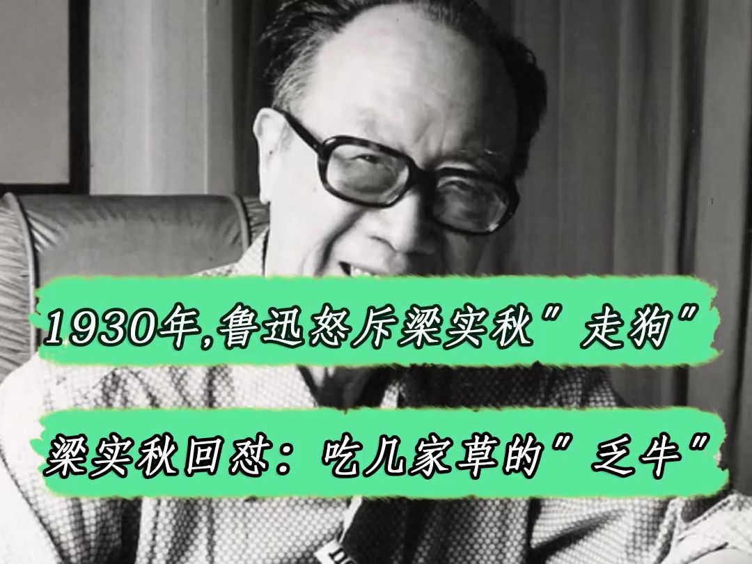 1930年,鲁迅怒斥梁实秋“走狗〞,梁实秋驳斥:吃几家草的〞乏牛〞#历史哔哩哔哩bilibili