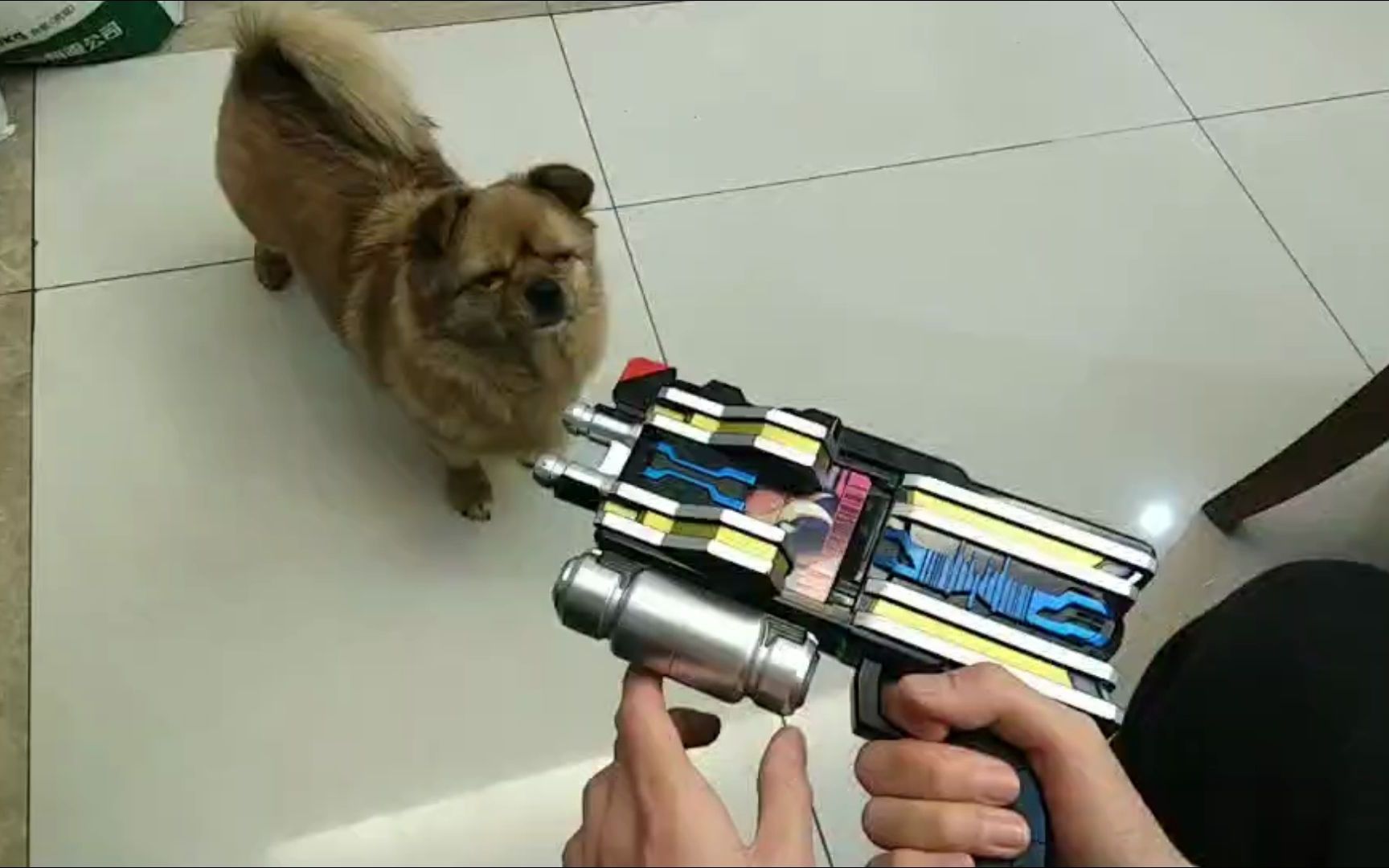 我发现了海东枪的隐藏bug