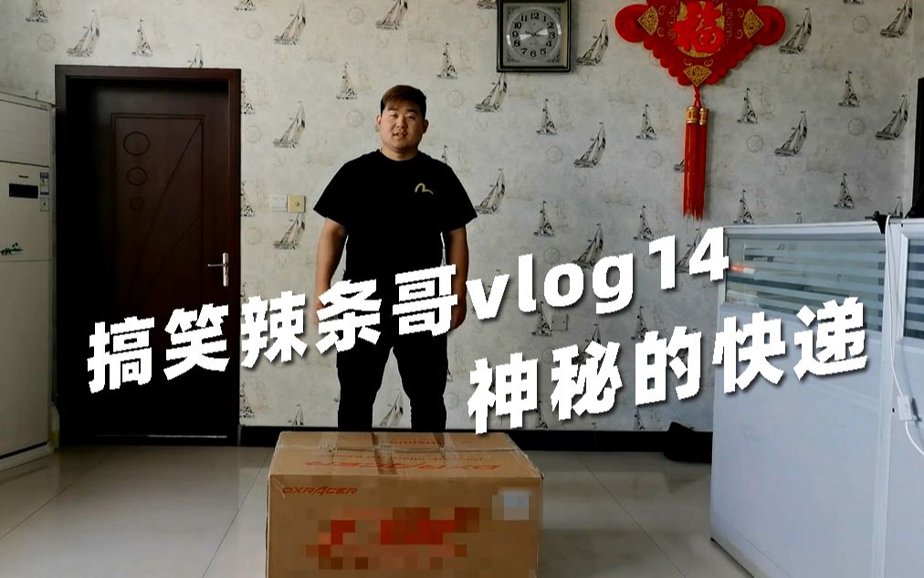 搞笑辣条哥vlog14今天收到一份神秘快递快来一起开箱看看吧