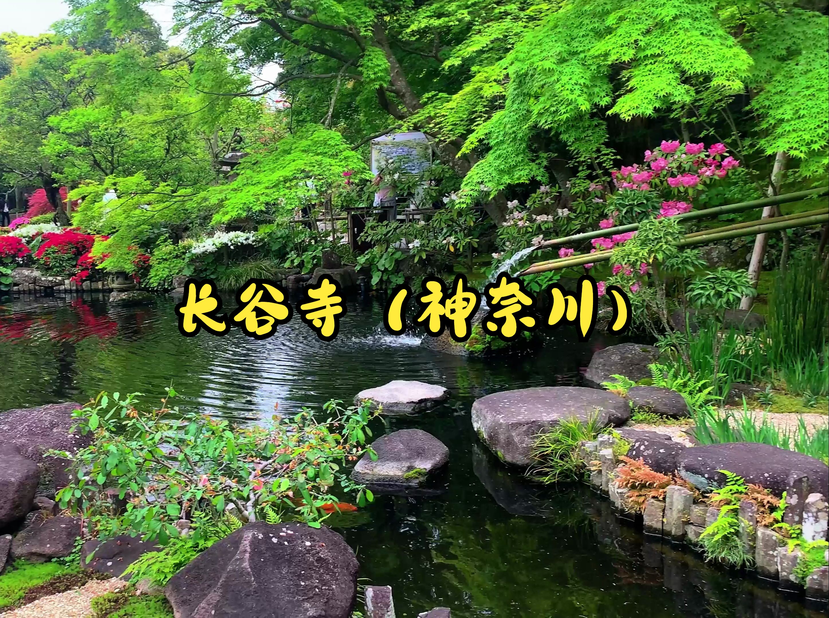 奈良长谷寺的姐妹寺,镰仓历史最悠久的寺庙之一