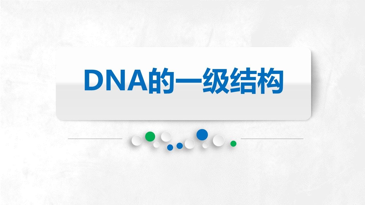 【分子生物学】第2章 染色体与DNA 第2节 DNA的结构——DNA的一级结构哔哩哔哩bilibili