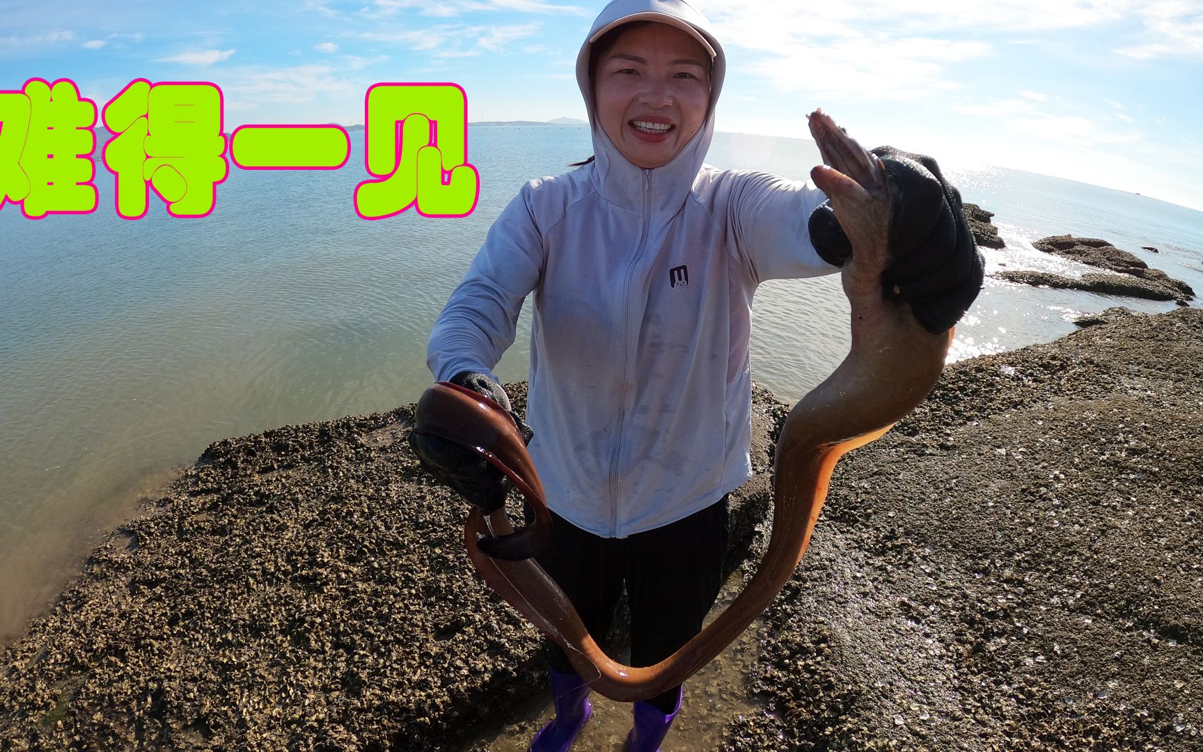 吴嫂到新海域赶海,抓获难得一见的超级大的巨龙,1条能值几百块