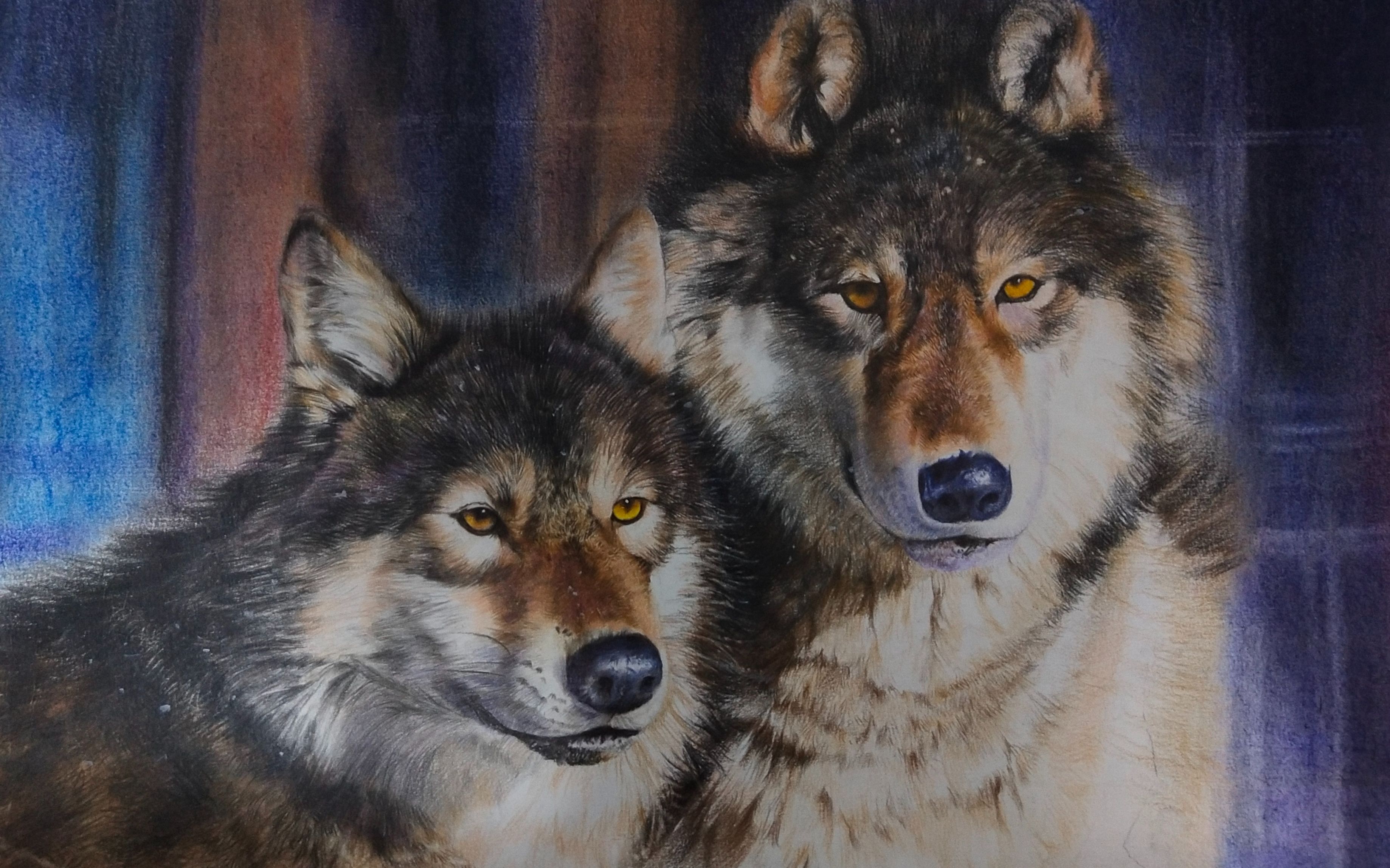 【陈陈彩铅】狼还是比较帅的一个种族,陈陈教你画两只帅气的狼,别认成