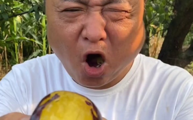 反向带货……黑布林大李子甜不甜_哔哩哔哩_bilibili