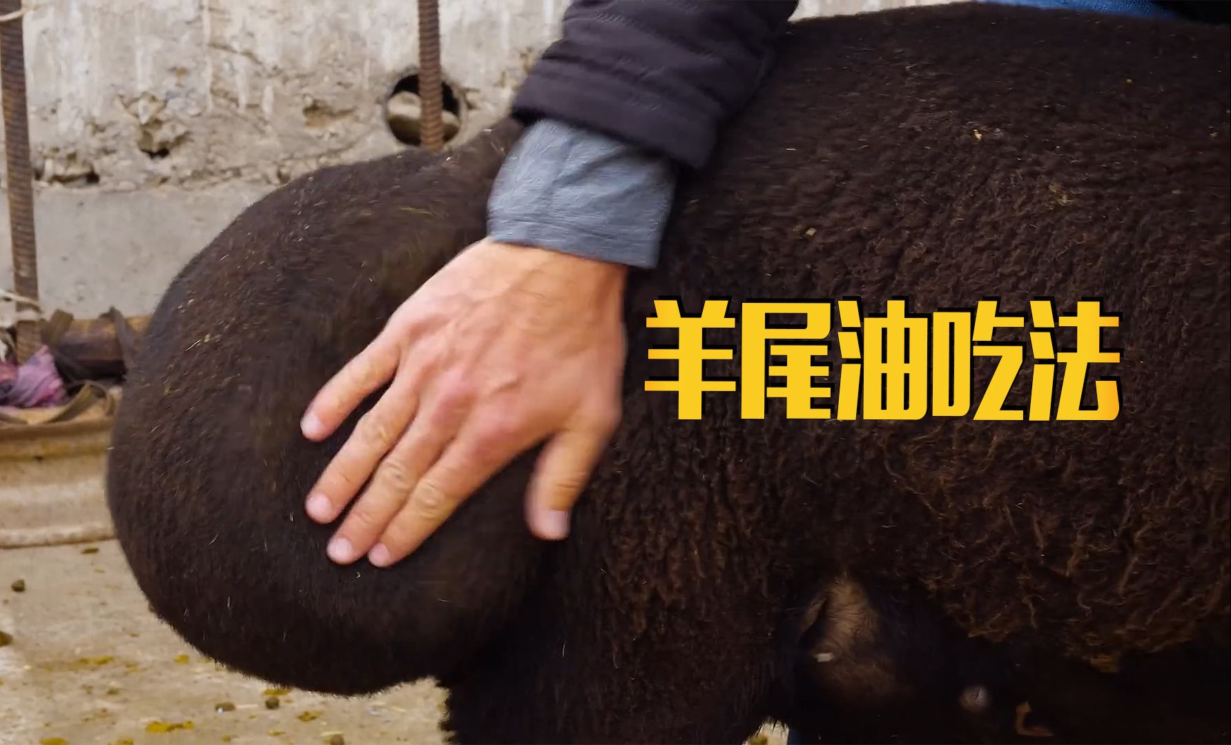 羊尾油在乌兹别克斯坦美食里是离不开的必需品-大海美食家-大海美食家-哔哩哔哩视频