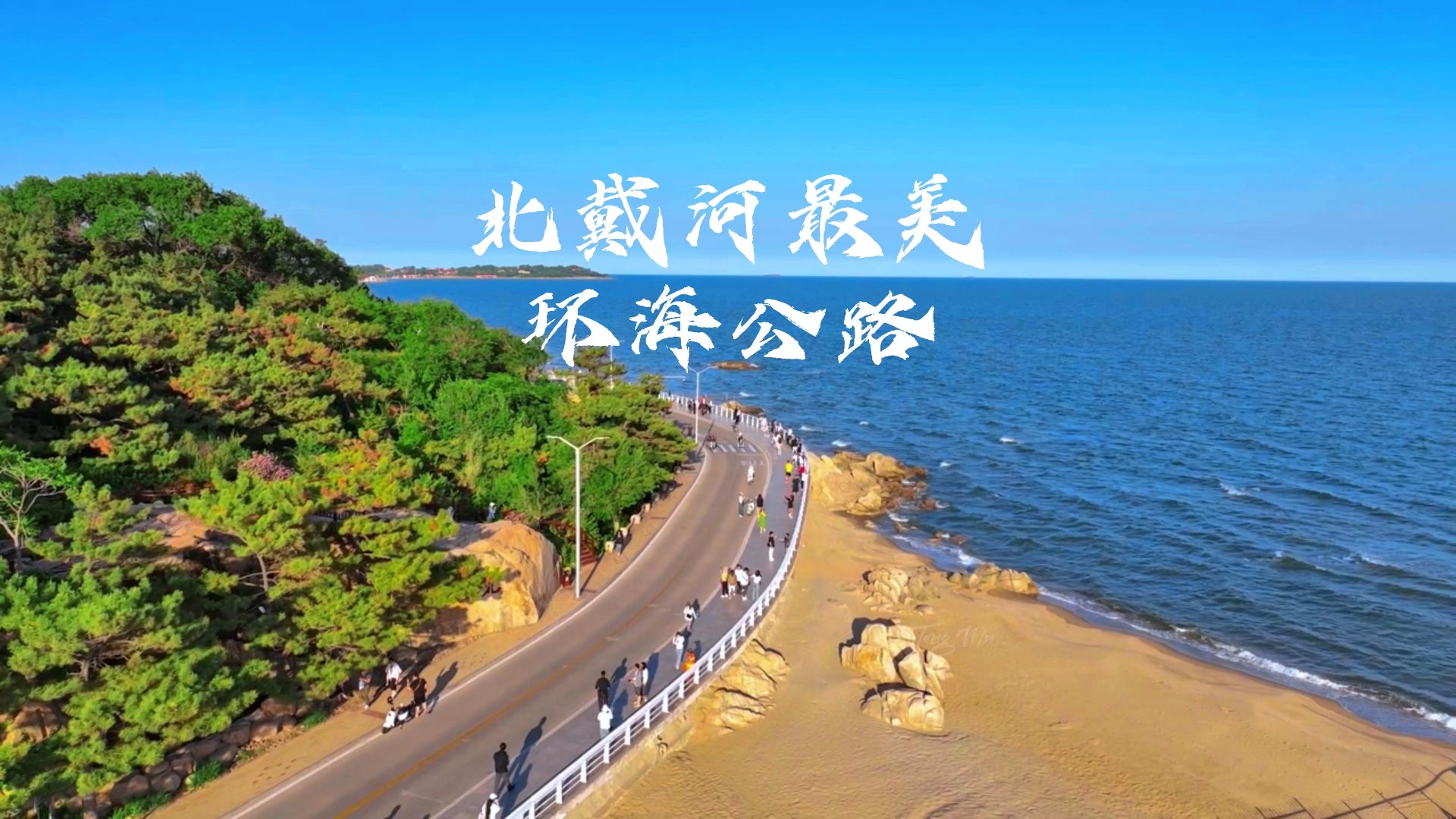 环海路风景线图片