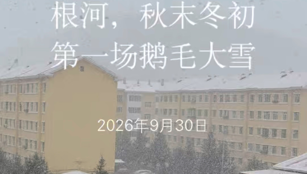 此时此刻，还在下着鹅毛大雪。今天早上六点多开始下。2026秋末冬初，第一场大雪，是我最爱的轻柔的鹅毛大雪，尤其是对着天空向上看的时候……