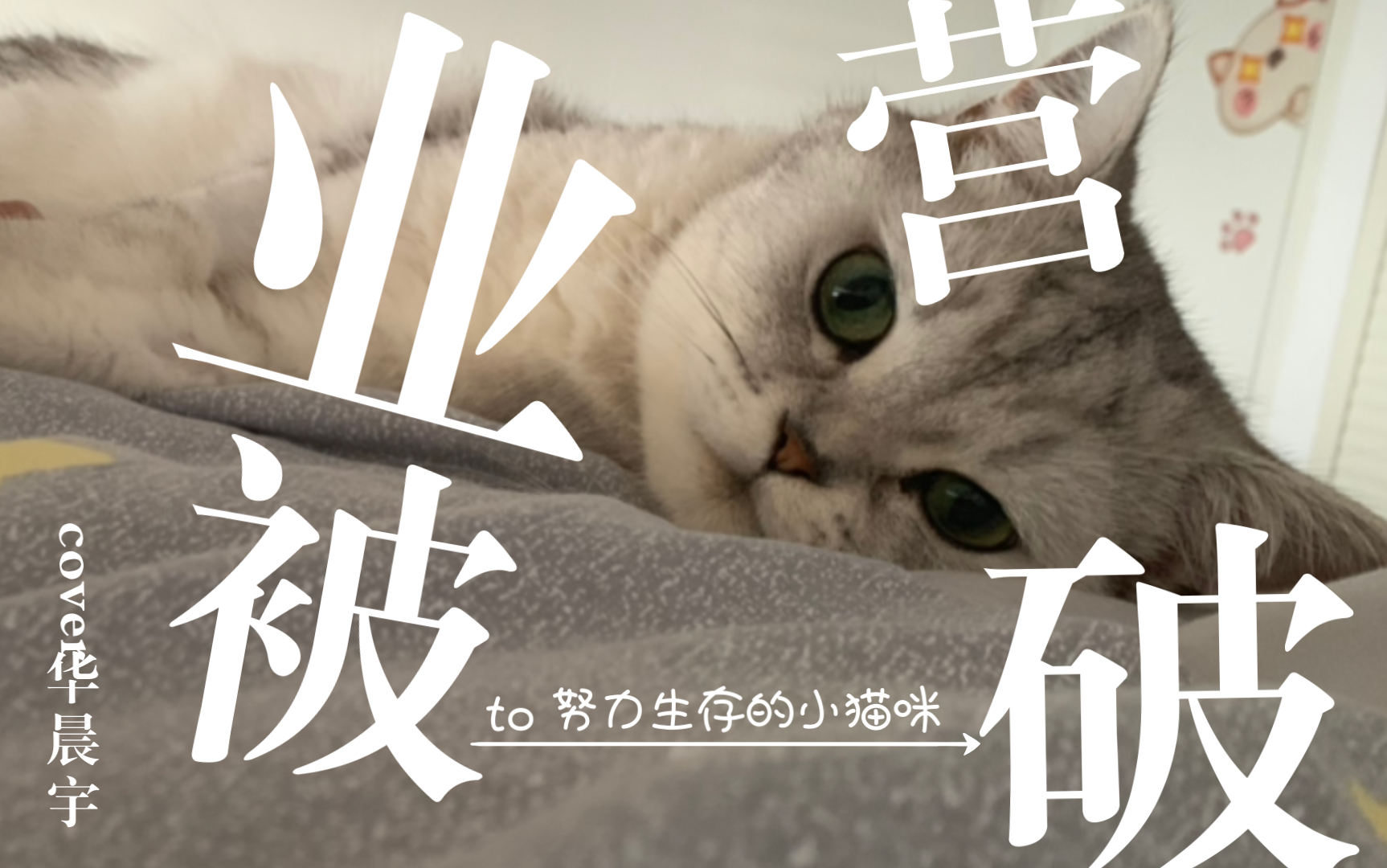 世道艰辛,猫猫不易!谁说猫咪不需要工作!_哔哩哔哩_bilibili