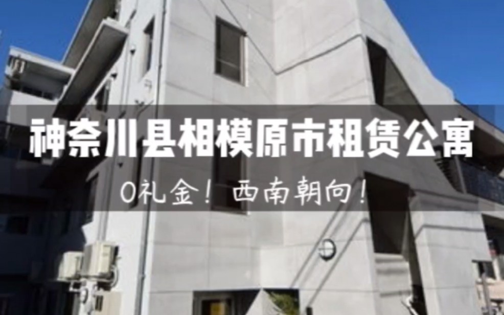 0礼金!神奈川县相模原市租赁公寓!