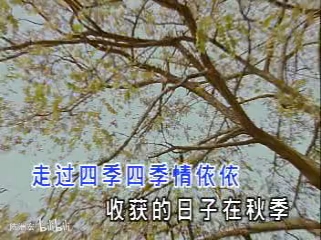 [图]彗星卡拉OK金曲《真情永远伴着你》