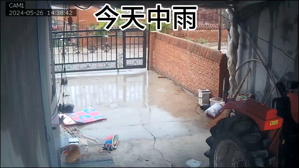 今天中雨哔哩哔哩bilibili