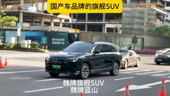 Download Video: 国产车品牌的旗舰SUV