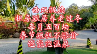 Download Video: 西双版纳租房旅居养老过冬，每月五百块，春节不涨价，还能泡温泉！