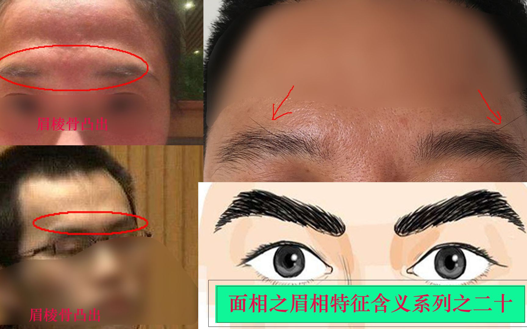 面相之眉相系列二十,眉毛生出毫毛、箭毛和眉棱骨高凸的含义哔哩哔哩bilibili