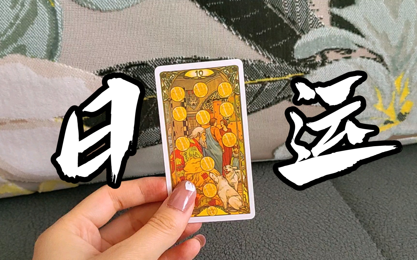 【日运在这里】2023年6月27日,日运-星币十正位-不顾我死活的热闹