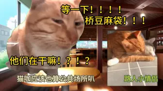 Download Video: 【猫meme】去猫咖居然遇到情侣在……