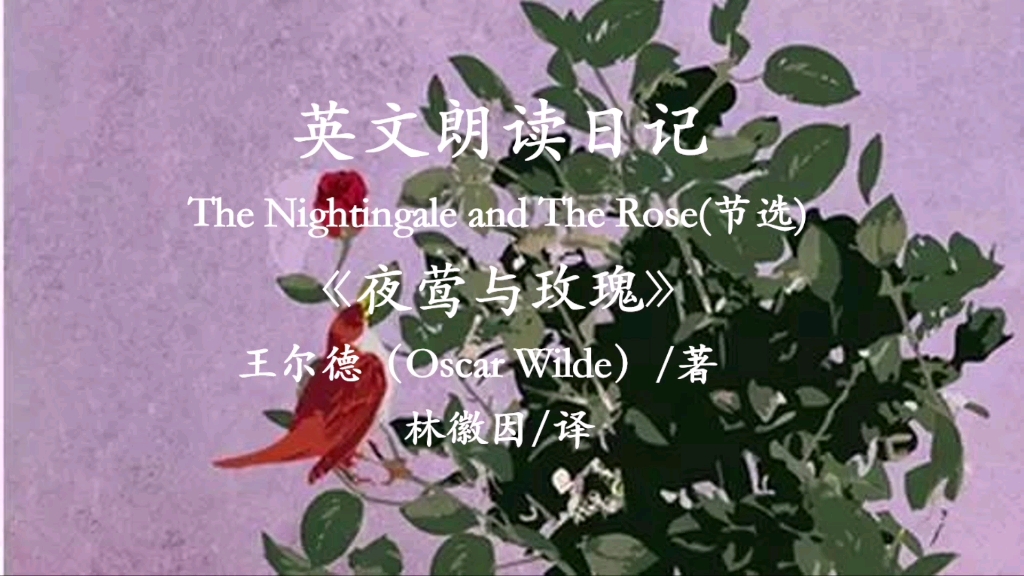 [图]英文朗读日记： The Nightingale and The Rose.（《夜莺与玫瑰》节选——王尔德著，冰心译）