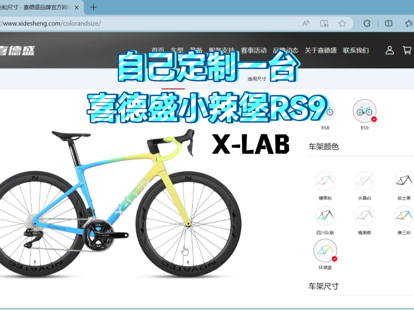 自己定制一台喜德盛小辣堡RS9哔哩哔哩bilibili